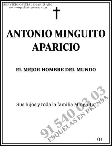 Antonio Minguito Aparicio